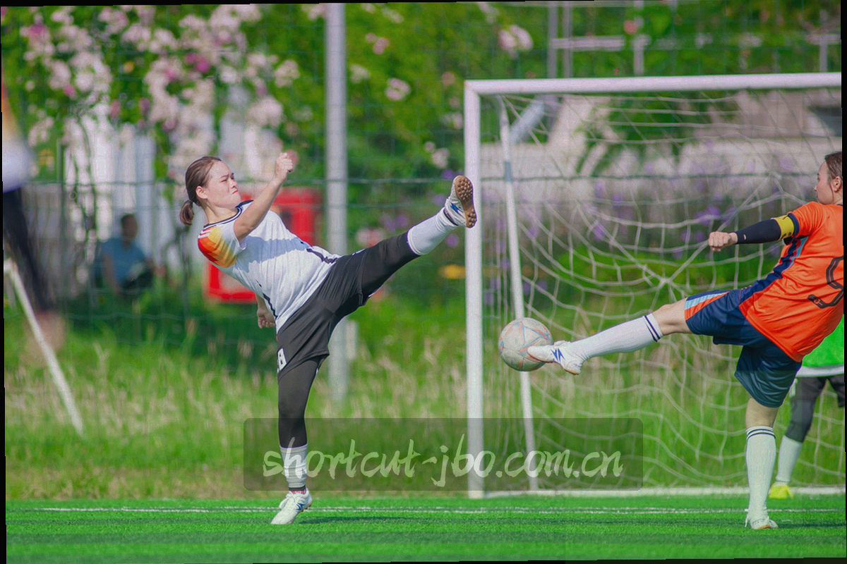 多组发光数据模块在暗色空间中排列，呈现资源分类的抽象结构